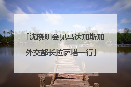 沈晓明会见马达加斯加外交部长拉萨塔一行